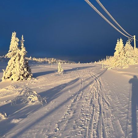 Ljusnedal Laegenhet Med Golf, Paddel, Fiske Och Skidakning Eksteriør bilde