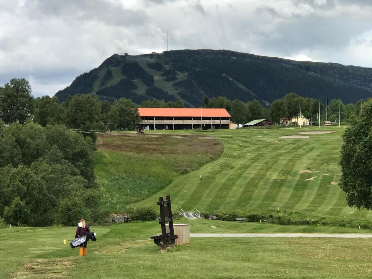 Ljusnedal Laegenhet Med Golf, Paddel, Fiske Och Skidakning Eksteriør bilde