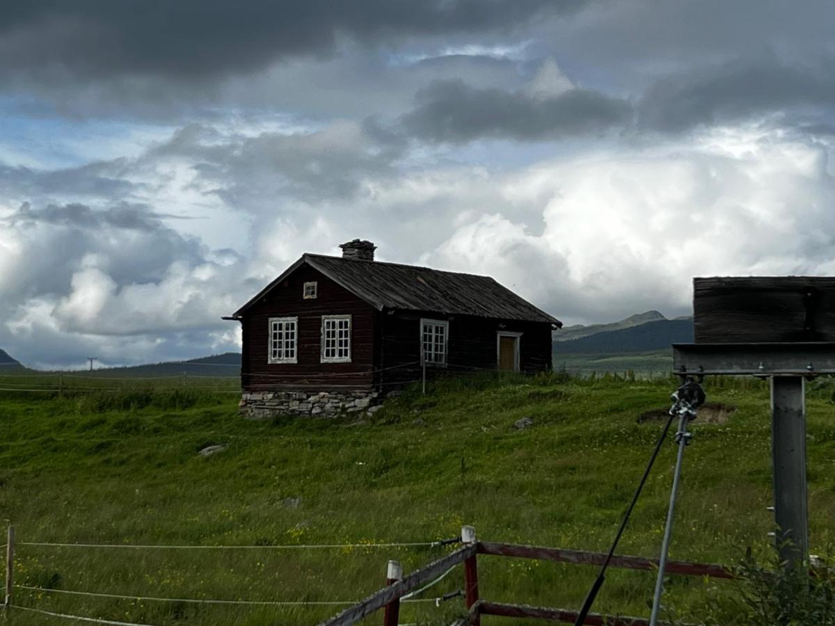 Ljusnedal Laegenhet Med Golf, Paddel, Fiske Och Skidakning Eksteriør bilde
