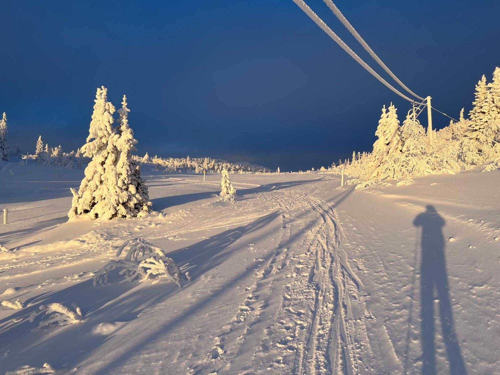 Ljusnedal Laegenhet Med Golf, Paddel, Fiske Och Skidakning Eksteriør bilde