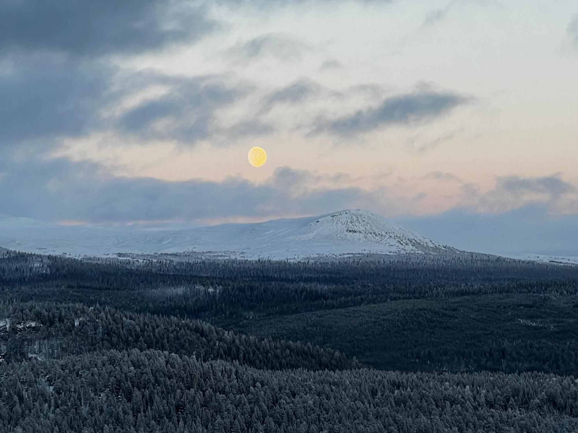 Ljusnedal Laegenhet Med Golf, Paddel, Fiske Och Skidakning Eksteriør bilde